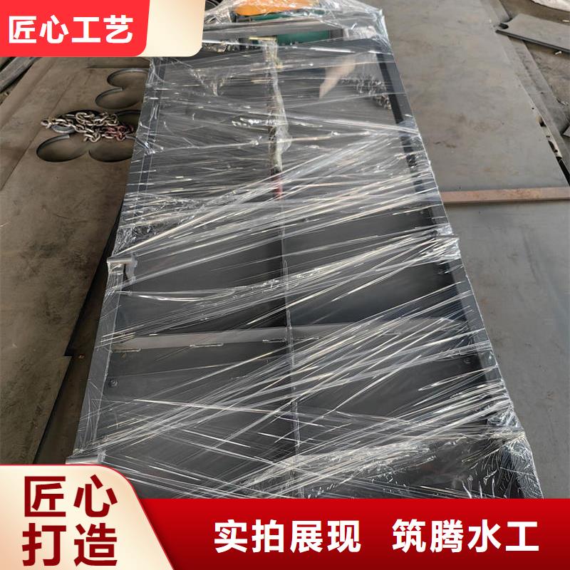 中山鋼閘門一體化泵閘閘門匠心制造