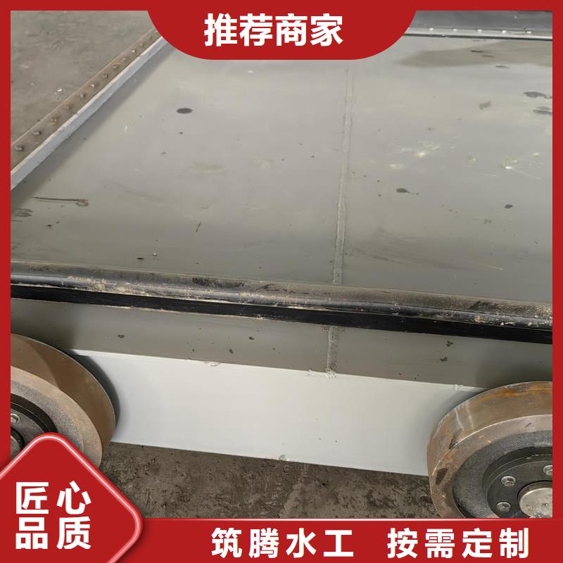 榆林鋼閘門_防洪閘門敢與同行比價格