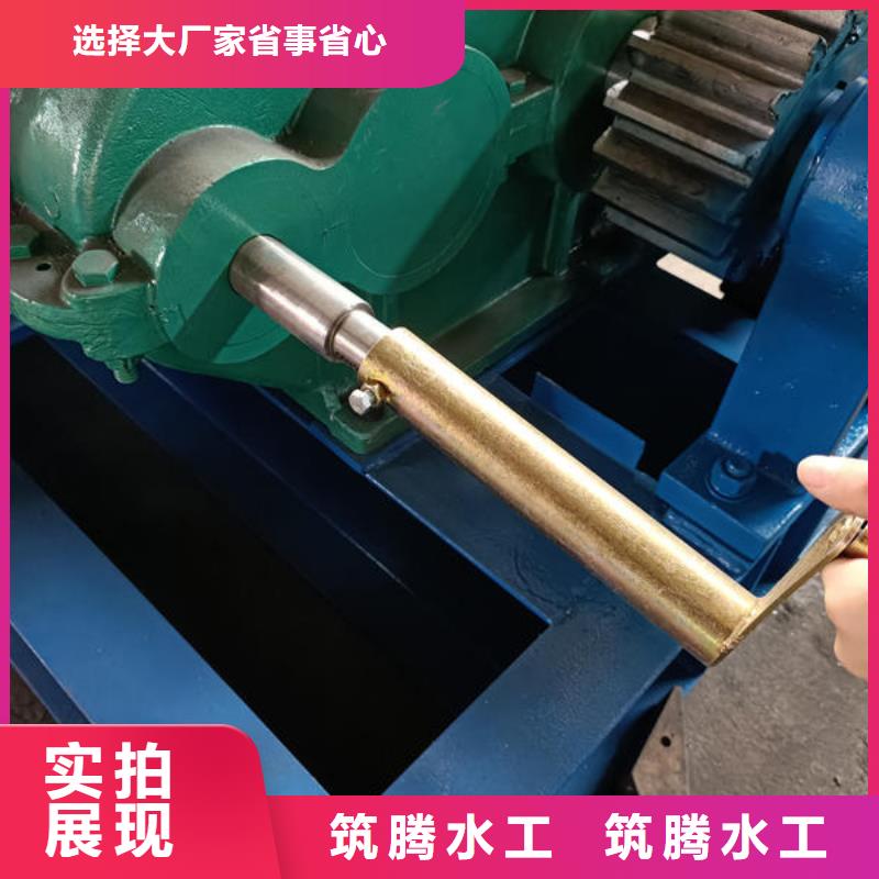 湛江卷?yè)P(yáng)式啟閉機(jī)普通卷?yè)P(yáng)啟閉機(jī)可零售可批發(fā)