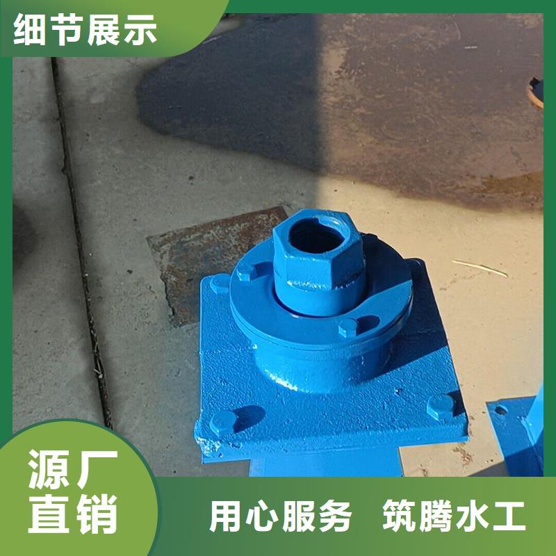 汕頭螺桿啟閉機(jī)手電兩用螺桿式啟閉機(jī)可接急單