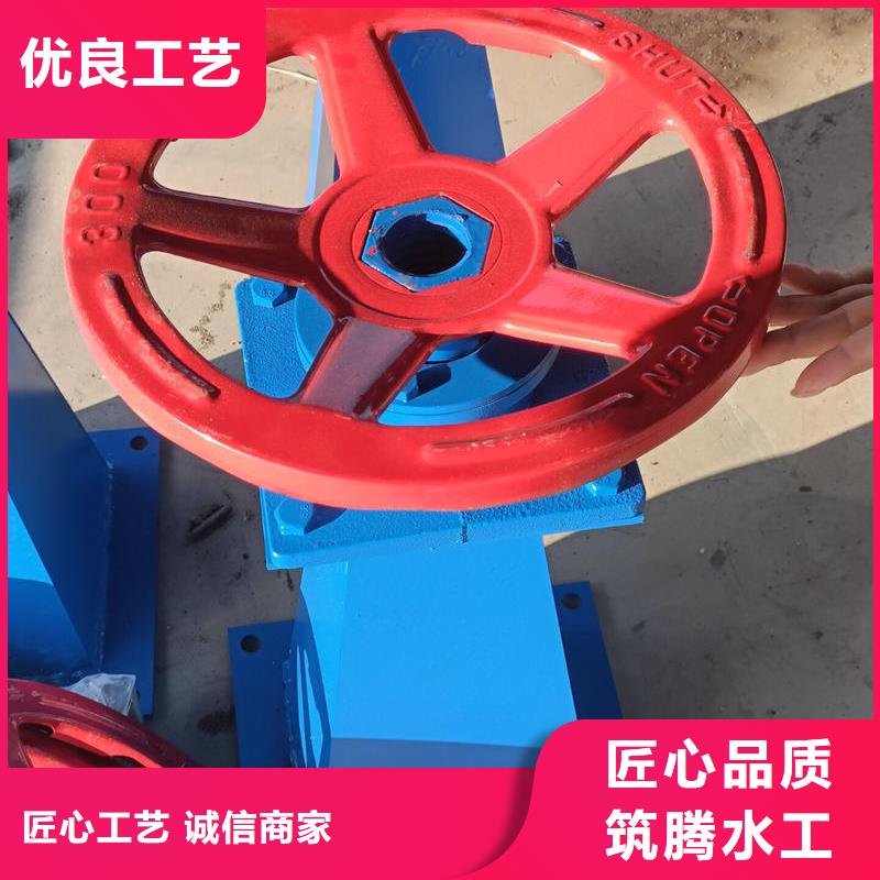 岳陽螺桿啟閉機(jī)-側(cè)搖螺桿式啟閉機(jī)用心服務(wù)