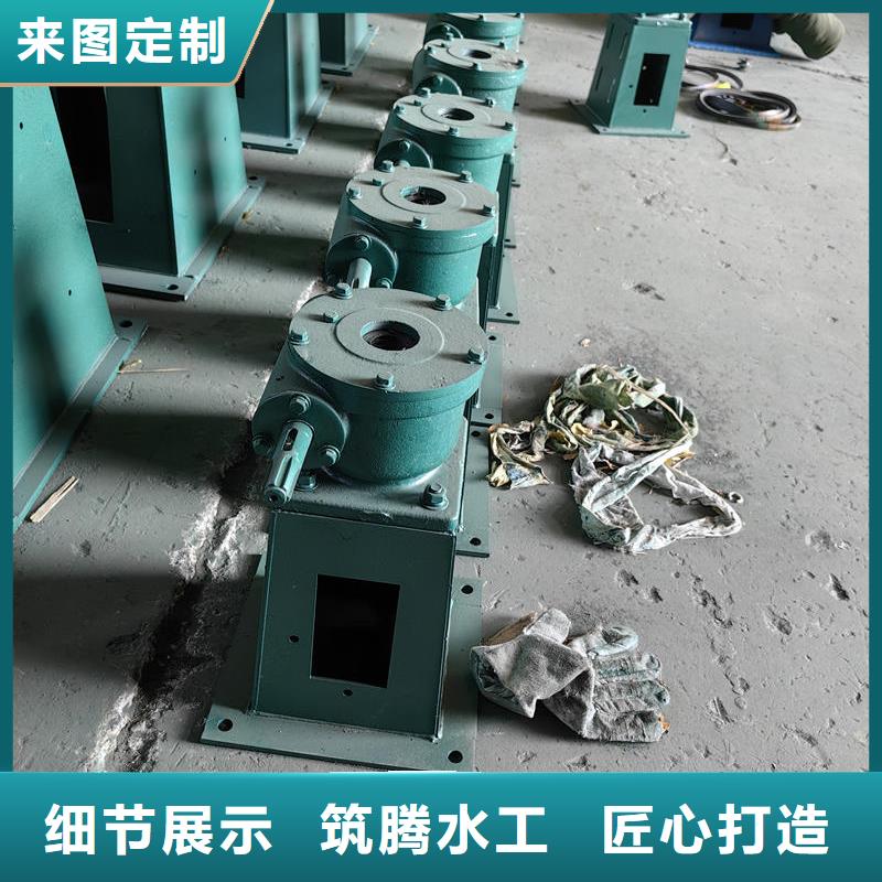 西雙版納螺桿啟閉機平推螺桿式啟閉機大廠生產(chǎn)品質(zhì)