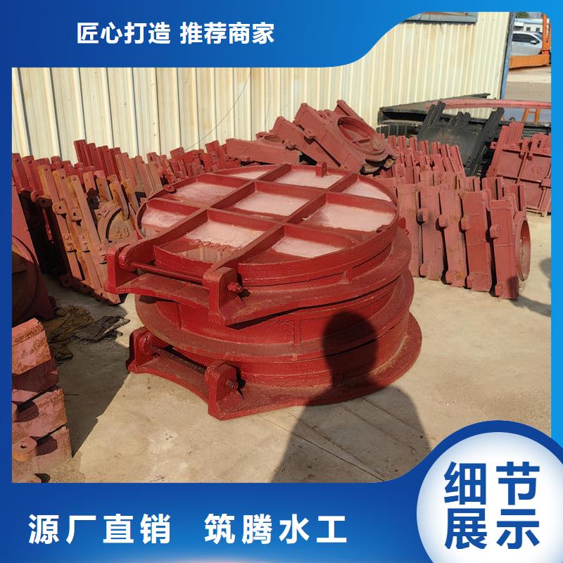 南昌拍門側(cè)翻式拍門源頭工廠