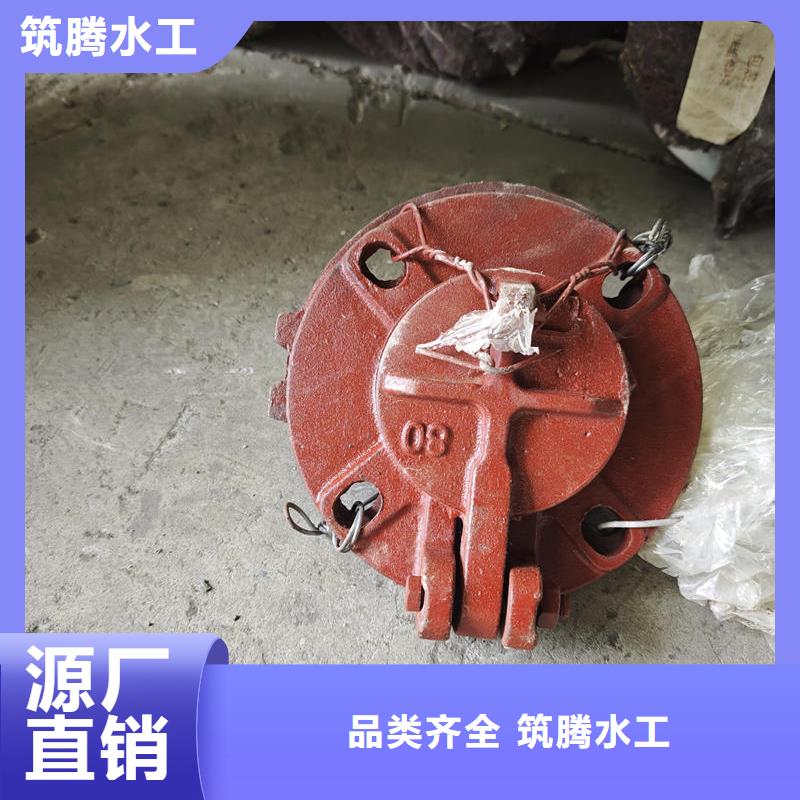 杭州拍門-節(jié)能型側(cè)翻式拍門廠家直銷大量現(xiàn)貨