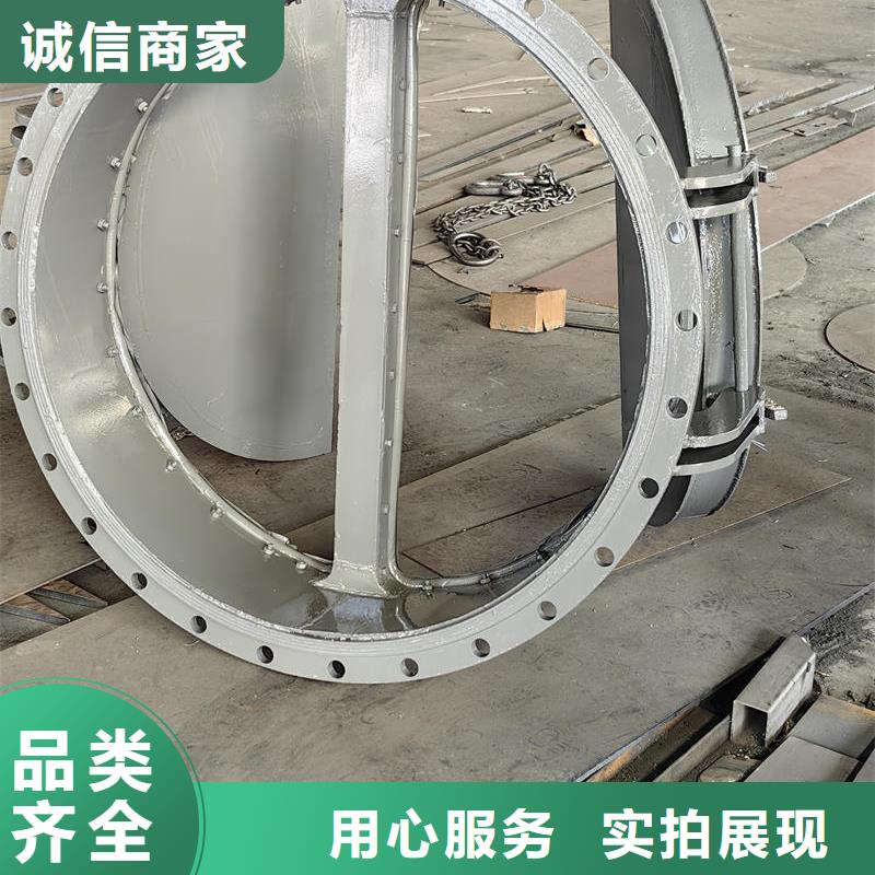 南京拍門節(jié)能型側(cè)翻式拍門快速生產(chǎn)