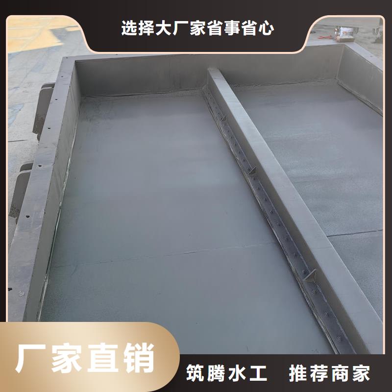 齊齊哈爾拍門升降式截流拍門專業(yè)生產(chǎn)品質(zhì)保證