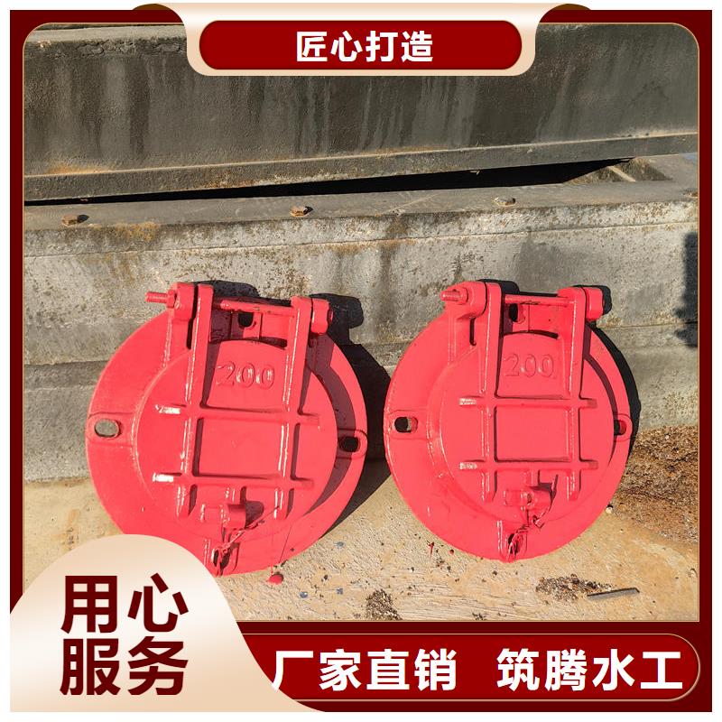 內(nèi)江拍門雙開拍門工藝精細質(zhì)保長久