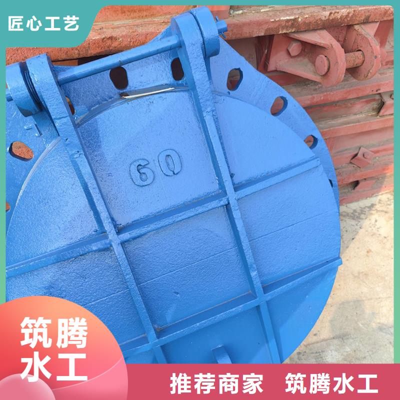 賀州拍門(mén)鋼制拍門(mén)產(chǎn)地采購(gòu)