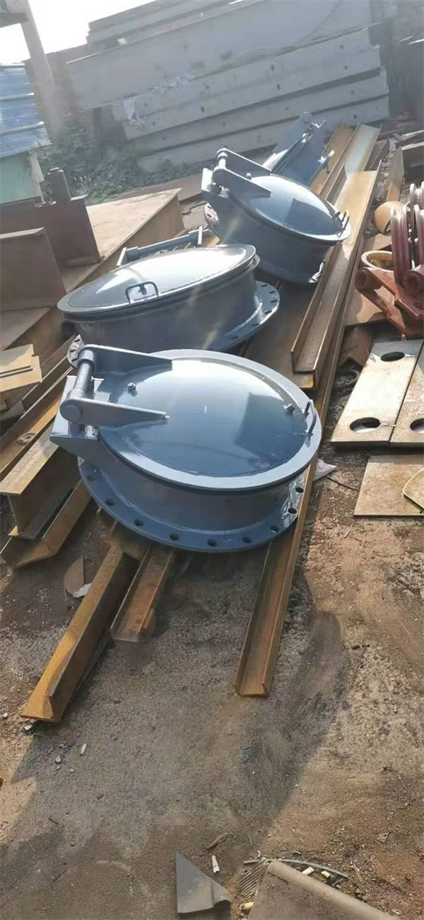 拍門防倒灌拍門一個(gè)起售