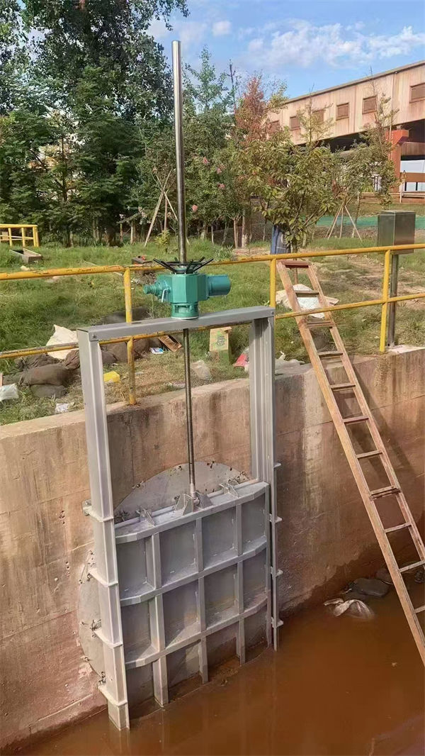 不銹鋼閘門-不銹鋼液動限流閘門國標(biāo)檢測放心購買