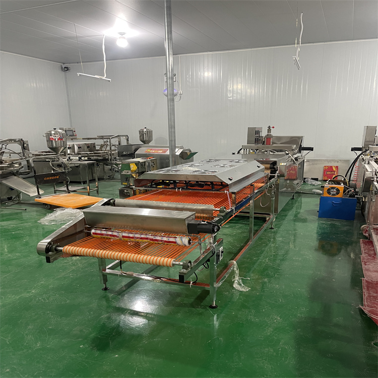 雞肉卷餅機施工團隊750型