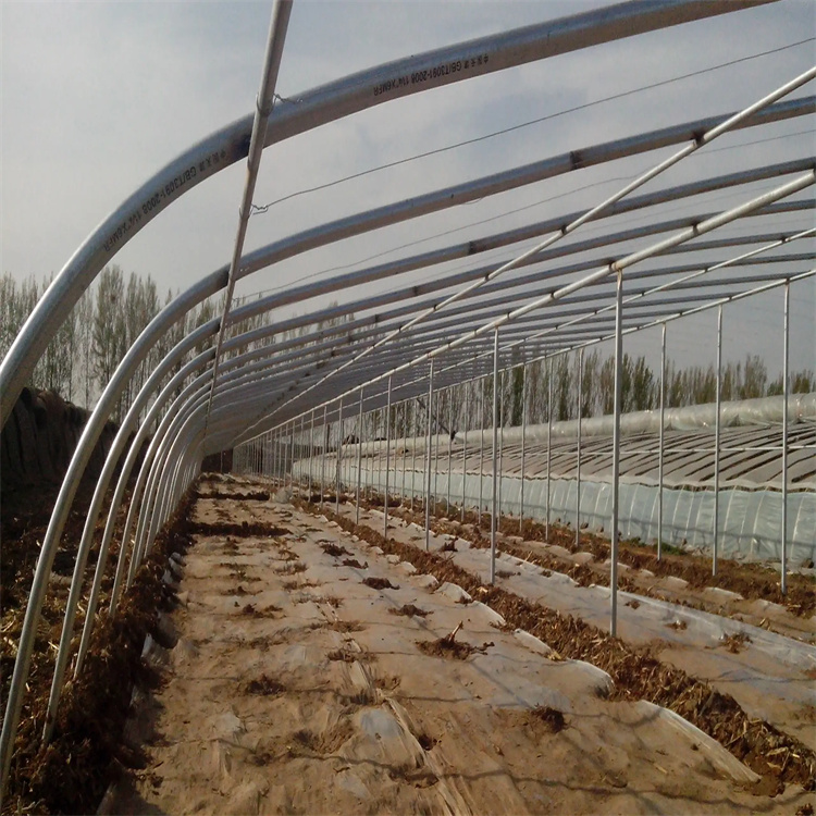 鍍鋅大棚管【熱鍍鋅鋼管】支持非標(biāo)定制