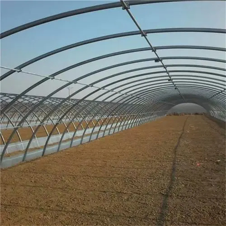 蔬菜大棚管廠(chǎng)家