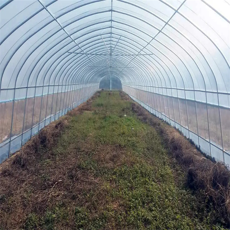 供應(yīng)溫室大棚管 6分大棚管現(xiàn)貨