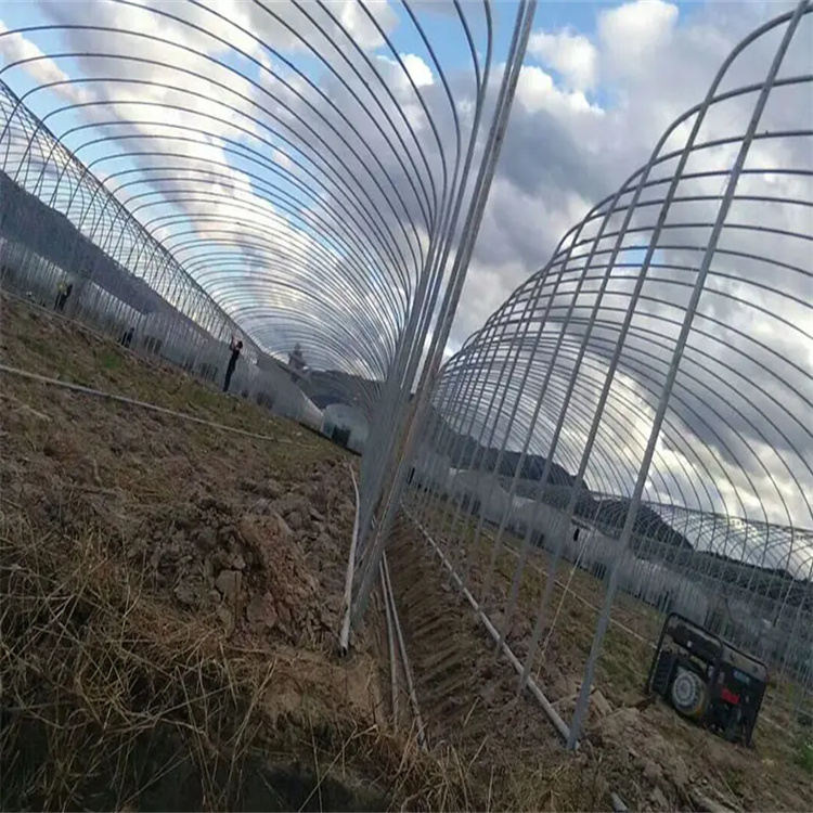 12米跨度大棚管-鍍鋅大棚管工期快