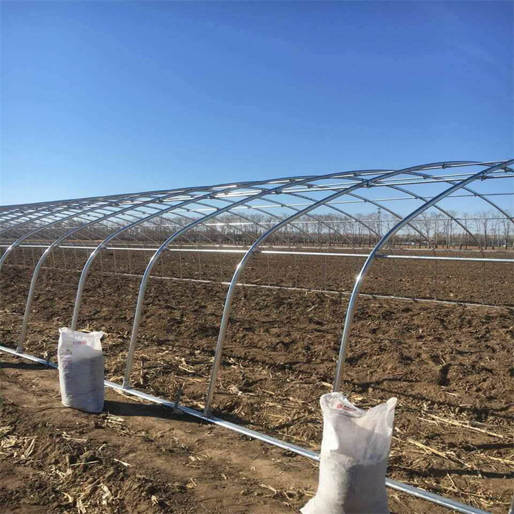 藤縣鍍鋅大棚管_Q195鍍鋅大棚管源頭廠家