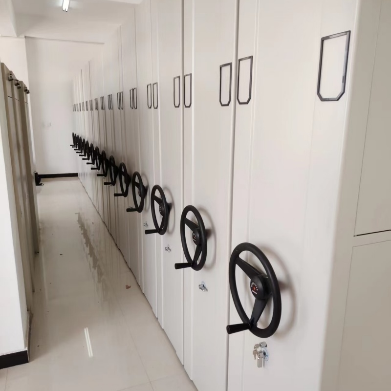 大慶薩爾圖靠譜的檔案資料柜銷售廠家