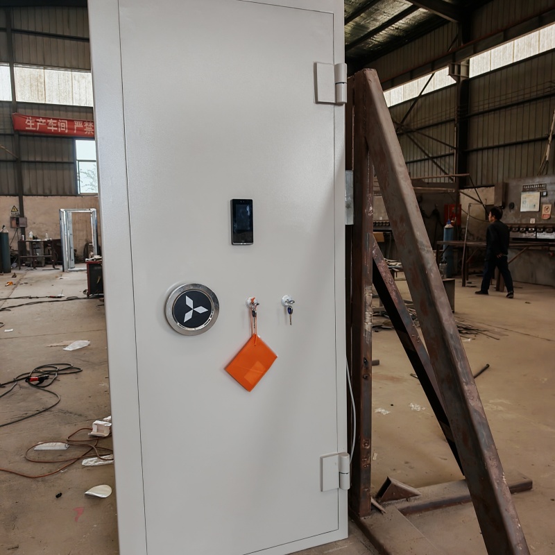 保質(zhì)保量：德州寧津雙人雙控槍彈庫門