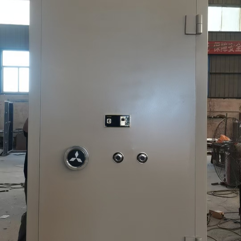 保定蠡縣金庫門經銷商廠家批發(fā)價-讓您滿意