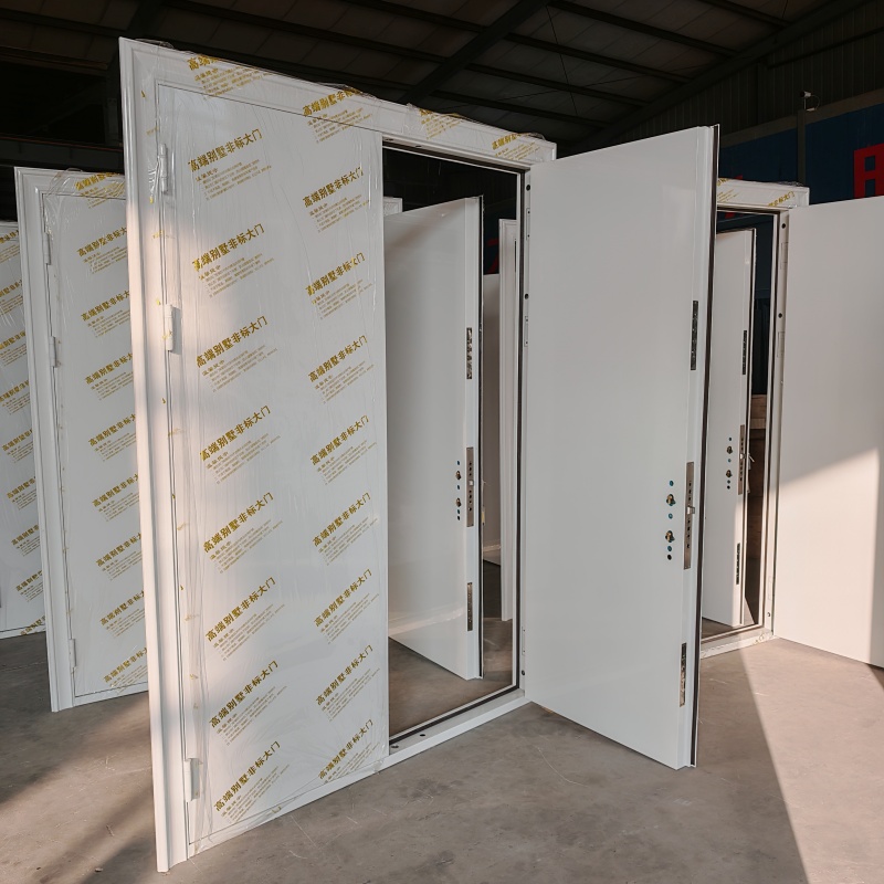 西雙版納景洪防尾隨聯(lián)動(dòng)互鎖門廠家-值得信賴