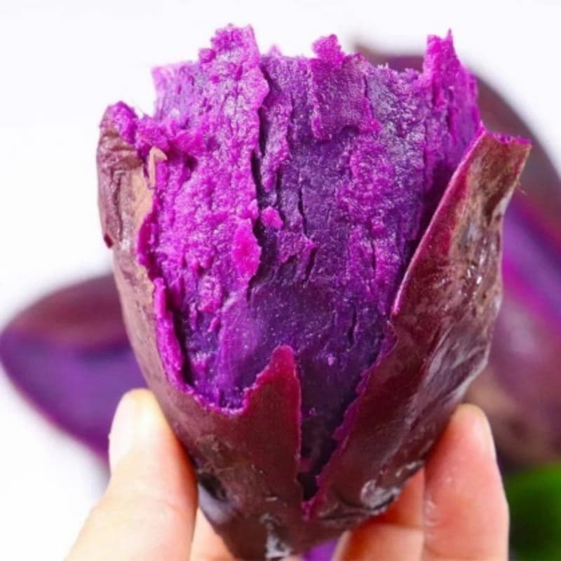 白銀景泰有現(xiàn)貨的速凍紫薯泥塊基地