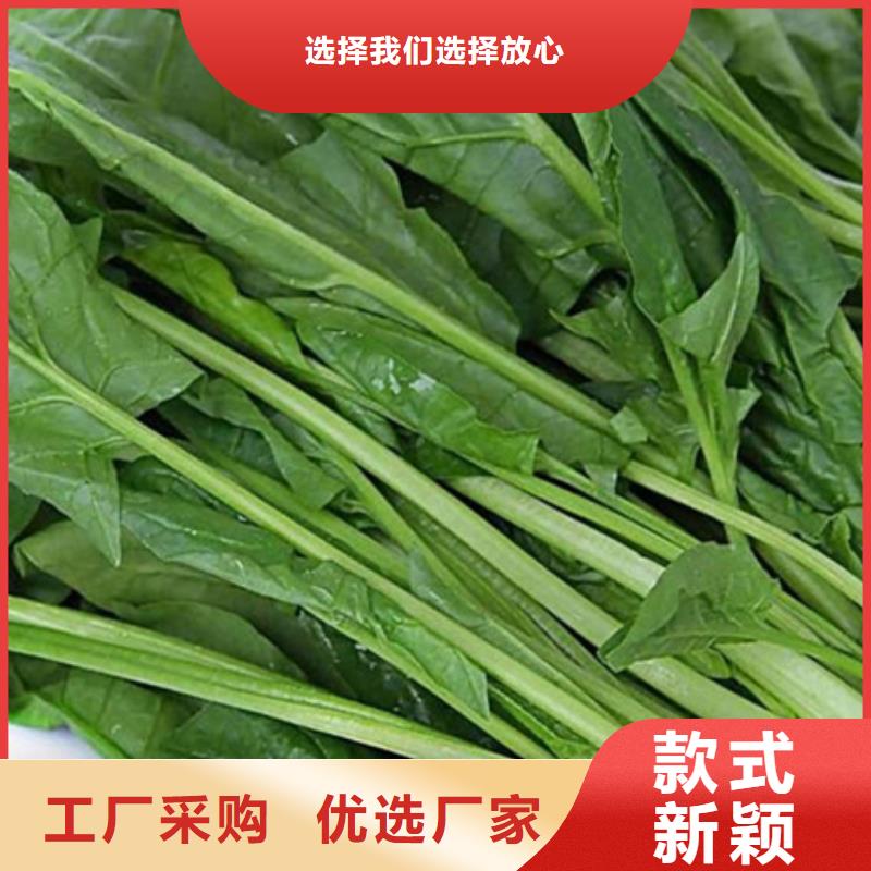 菠菜粉价格公道厂家直销值得选择