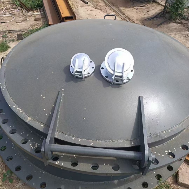 質(zhì)量優(yōu)的玻璃鋼拍門現(xiàn)貨廠家