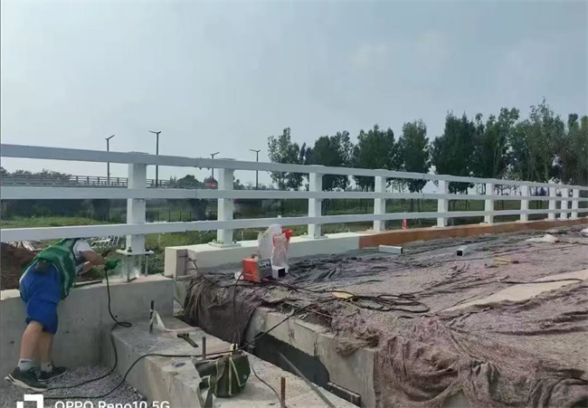 【護(hù)欄人車(chē)分流欄嚴(yán)格把控質(zhì)量】