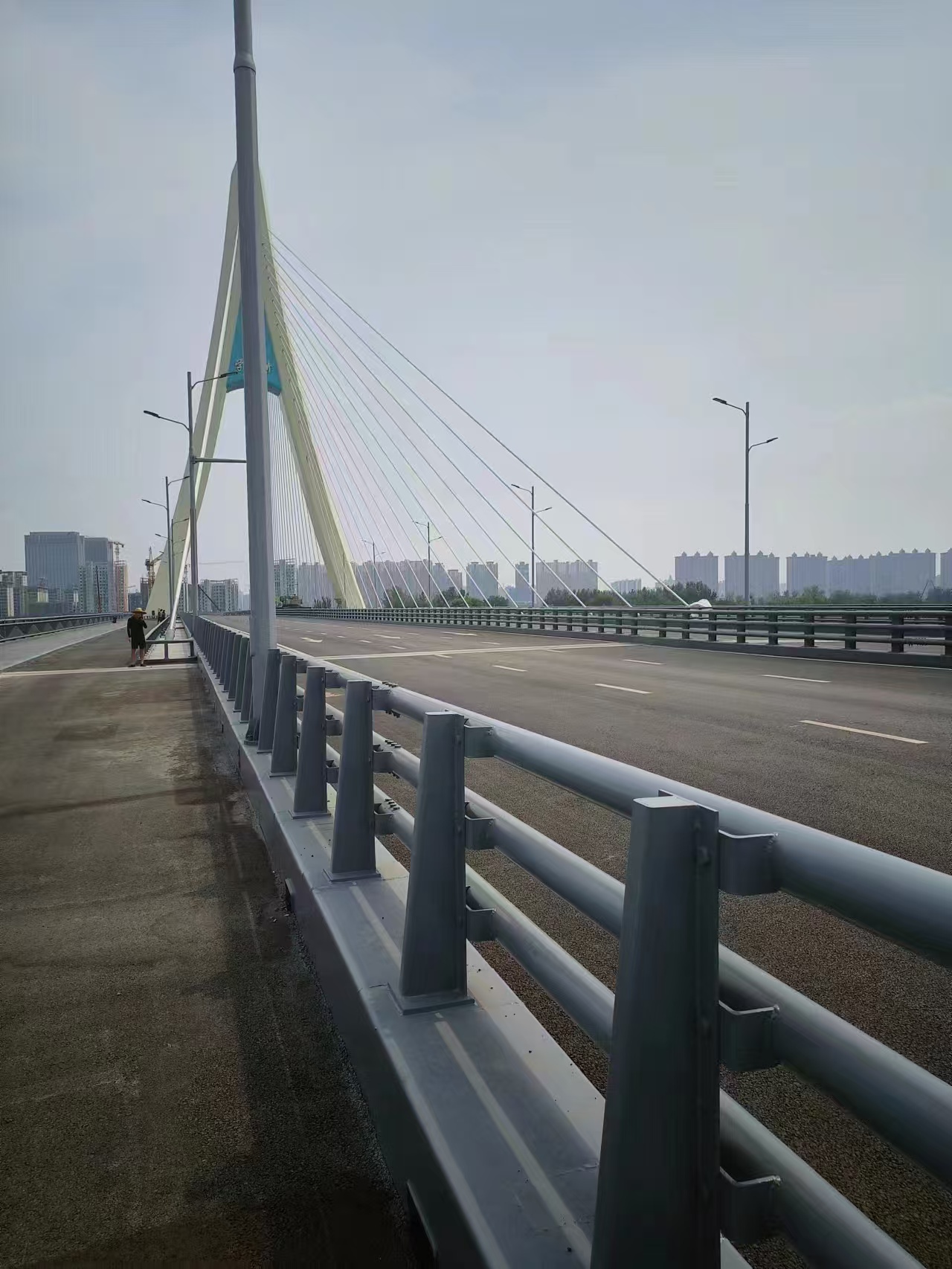 呂梁金屬橋梁護欄實力廠家