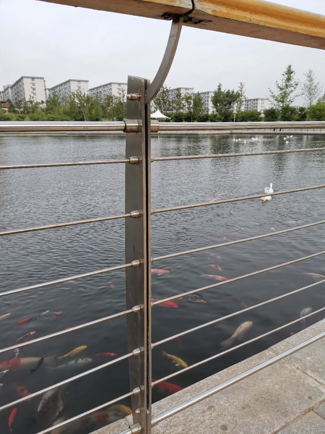 不銹鋼鋼絲繩欄桿銷售電話