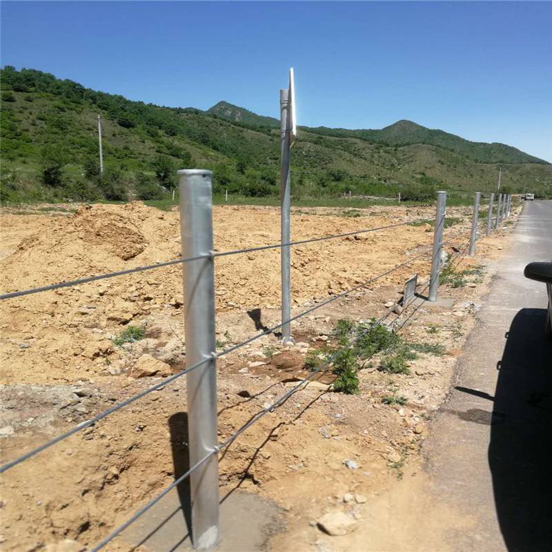 陵水縣河道絲繩護欄廠家直銷