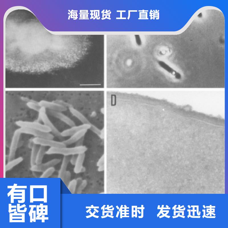 醋酸钠(碳源)推荐货源工厂直销