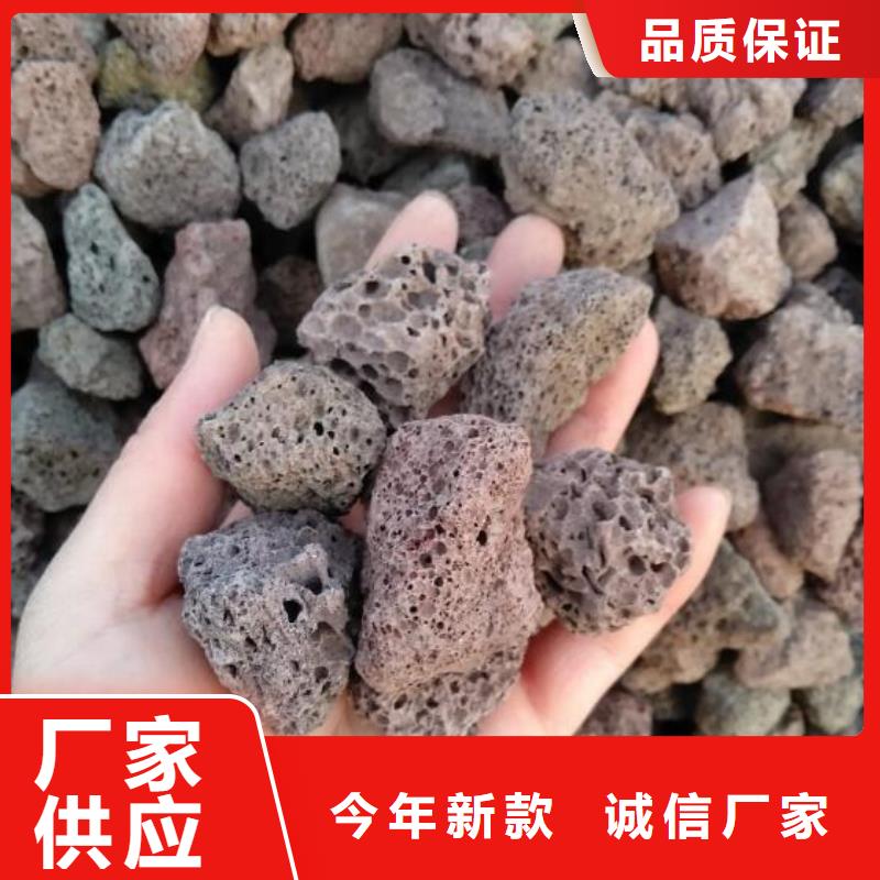 反硝化池用火山岩滤料价格卓越品质正品保障