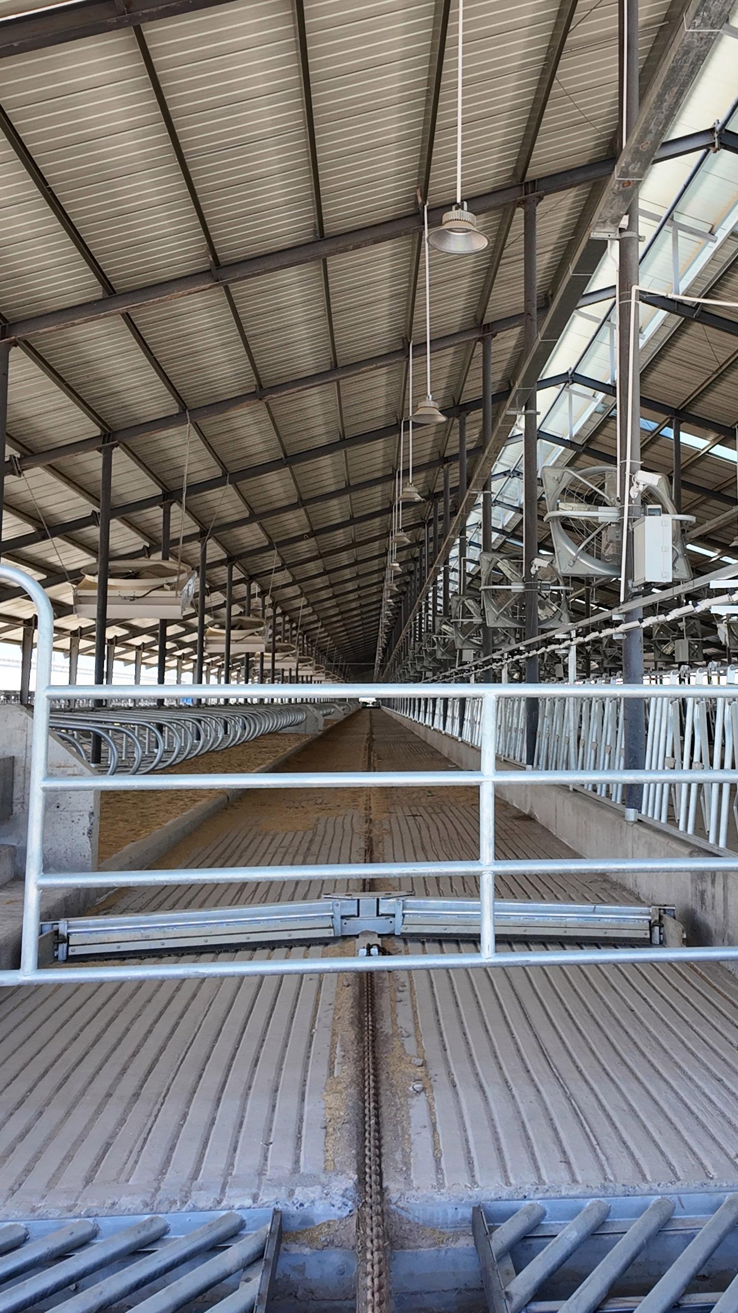 衡水刮糞機安裝廠家直供