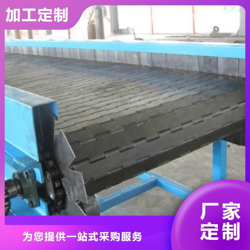 河源Chain plate conveyor 發(fā)貨及時