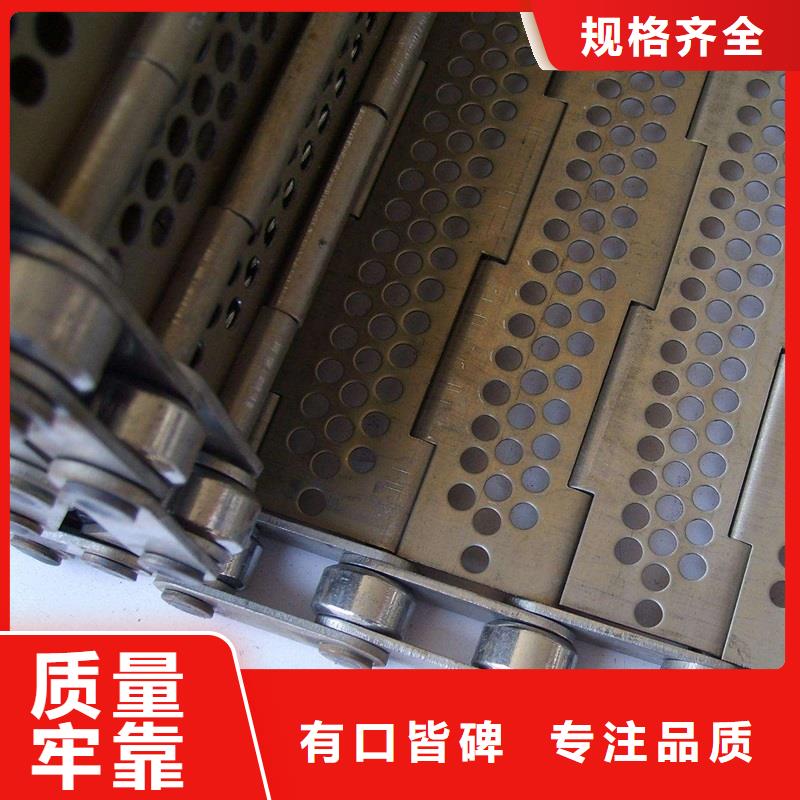 商洛直行鏈板輸送機(jī) 糧食裝倉(cāng)刮板輸送機(jī) Lj7廠(chǎng)家直銷(xiāo)廠(chǎng)家