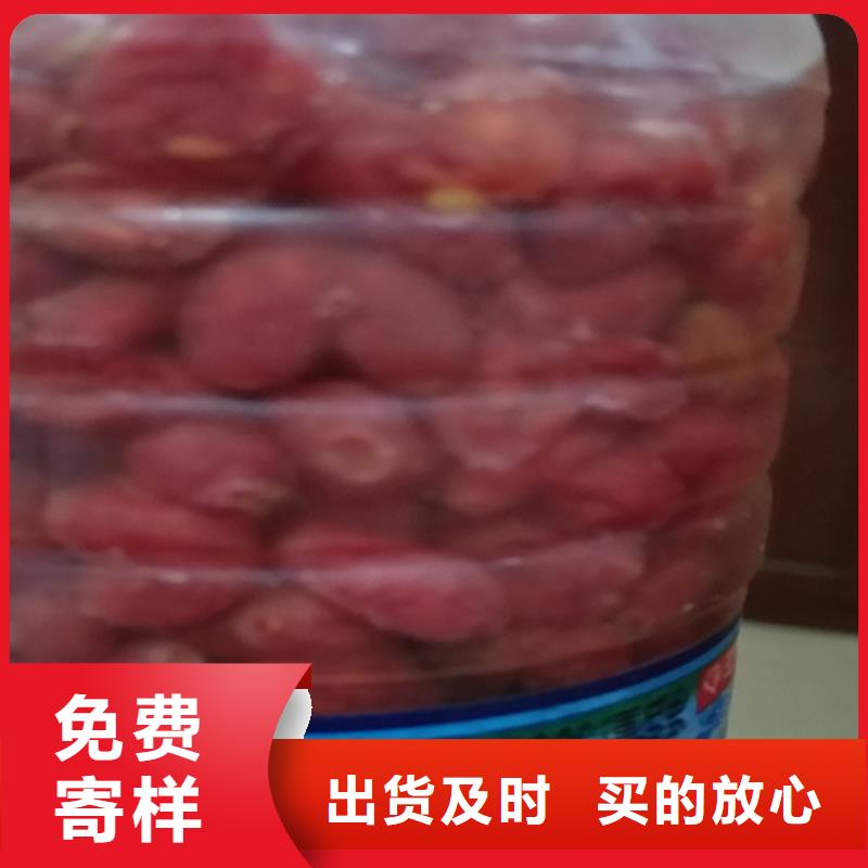 鸳鸯果苗什么时间移栽最好老品牌厂家