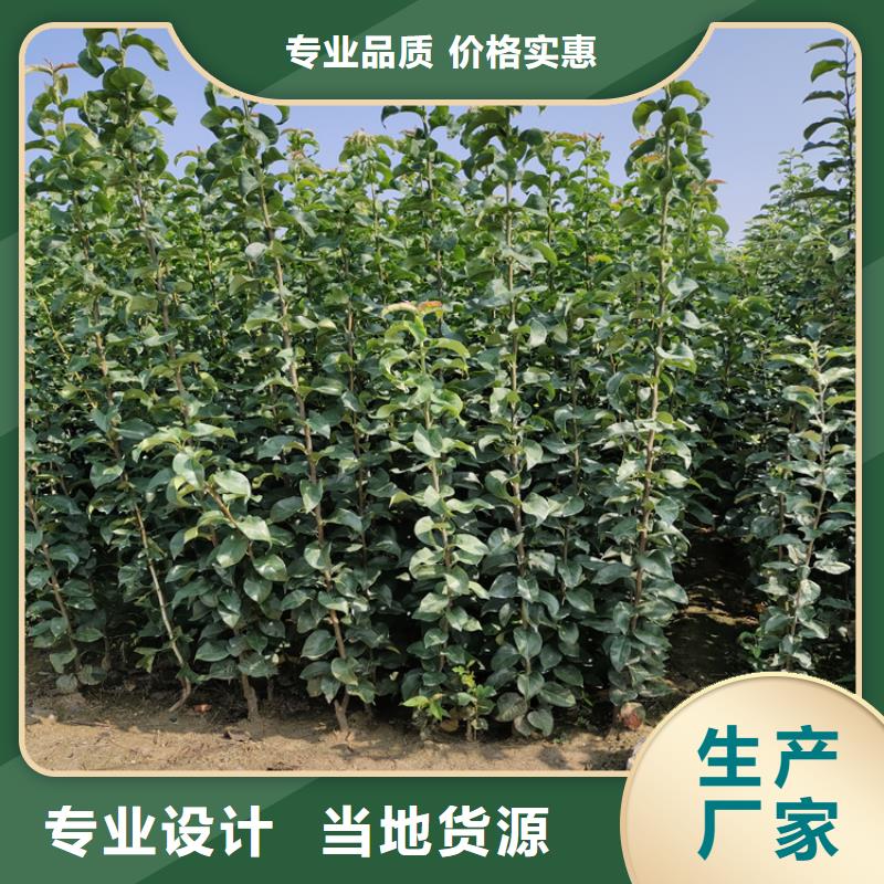 梨樹草莓苗定制銷售售后為一體保障