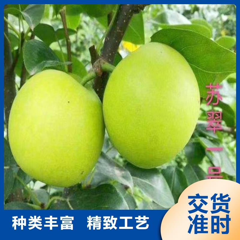 梨樹(shù)櫻桃苗定制銷(xiāo)售售后為一體當(dāng)?shù)仄放? width=