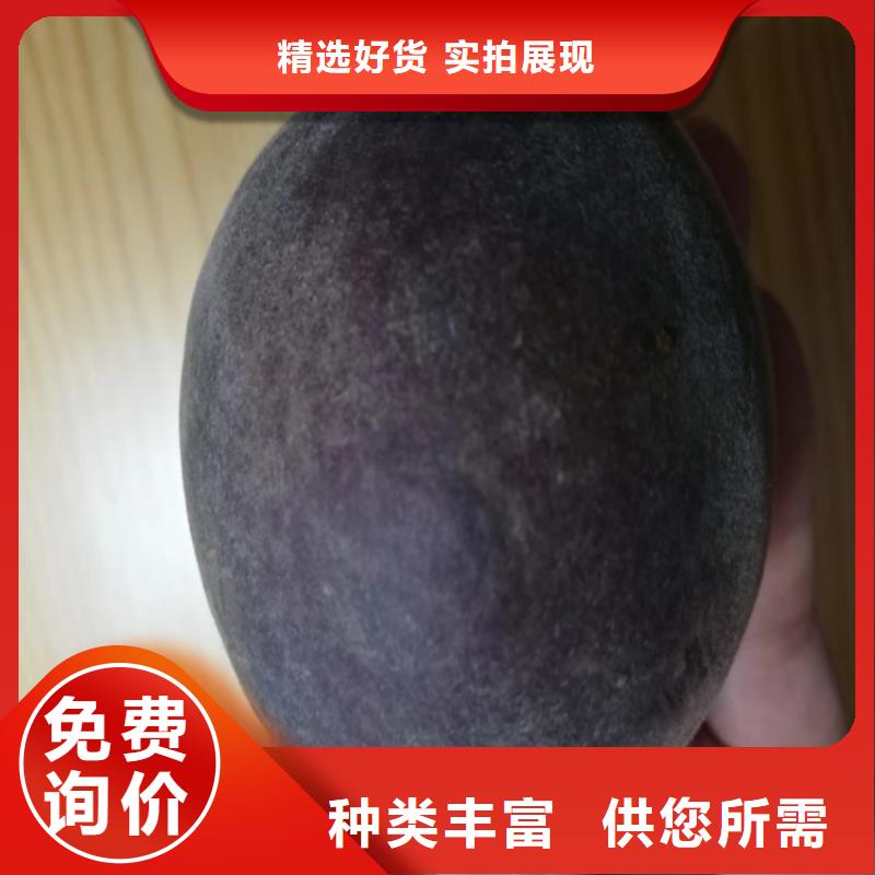 桃-櫻桃苗支持加工定制本地制造商