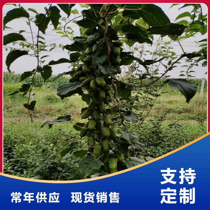 獼猴桃-石榴樹產(chǎn)品性能當(dāng)?shù)刎浽?>
                    <h3>獼猴桃-石榴樹產(chǎn)品性能當(dāng)?shù)刎浽?/h3>
                </div>
            </a>
        </li>
        <li>
            <a href=