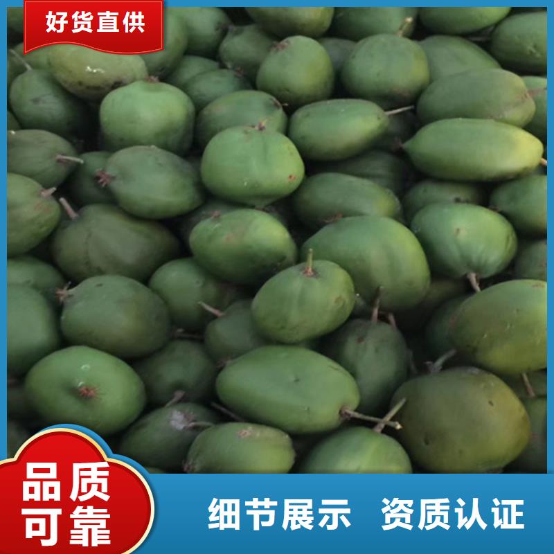 軟棗獼猴桃苗歡迎咨詢自貢