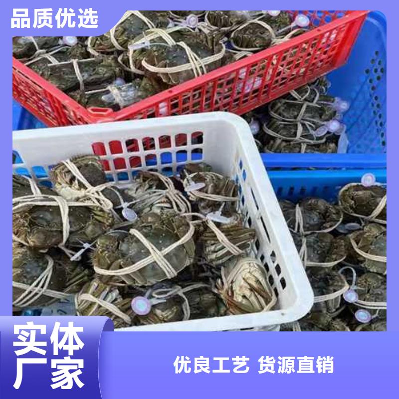 大闸蟹厂家价格优惠让客户买的放心