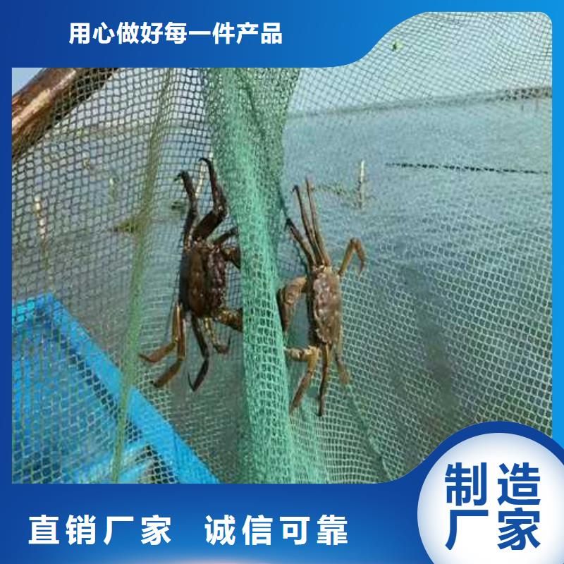 阳澄湖大闸蟹礼盒附近厂家