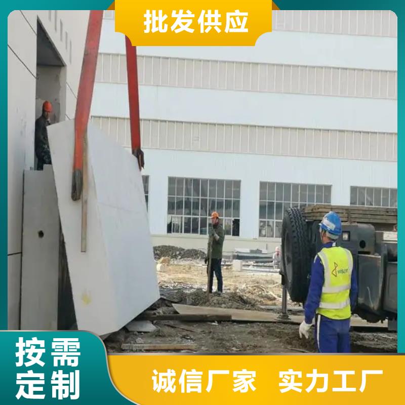 单开平移铅门优质源头厂家厂家货源稳定