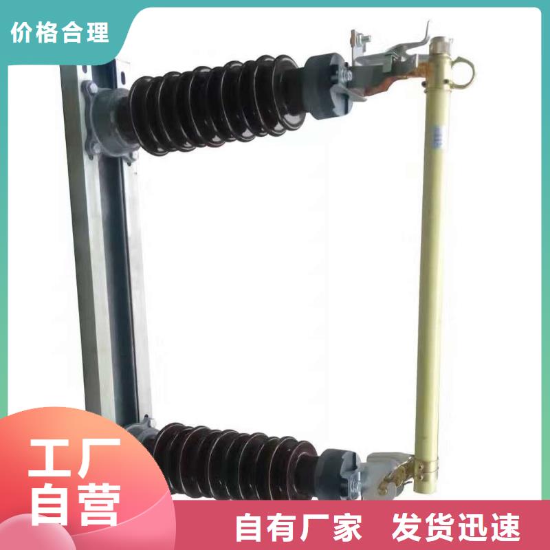 高压熔断器_RW12-15F/100A的图文介绍