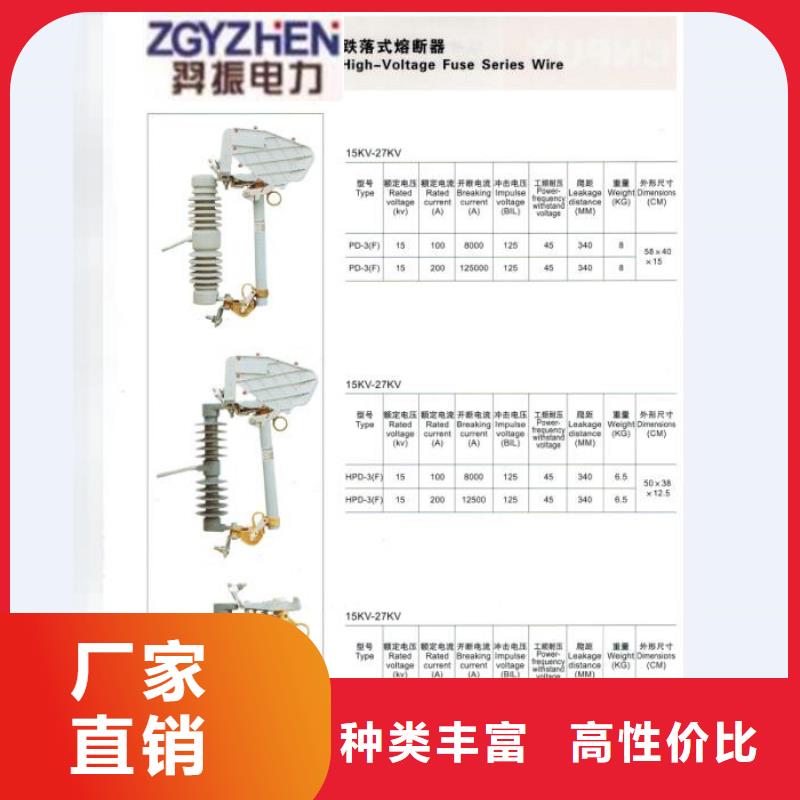 【熔断器】RW12-10KV/100A现货