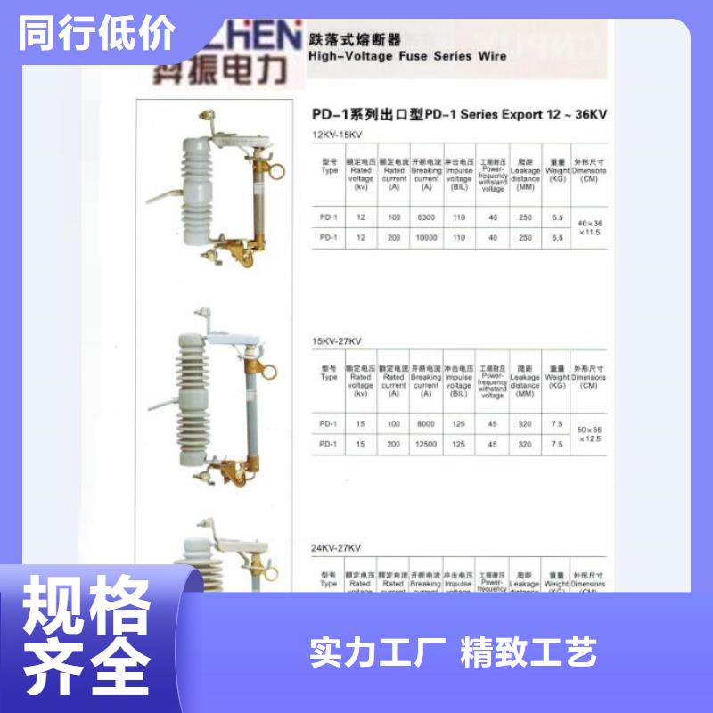 高压熔断器/RW10-12/100厂家质量过硬