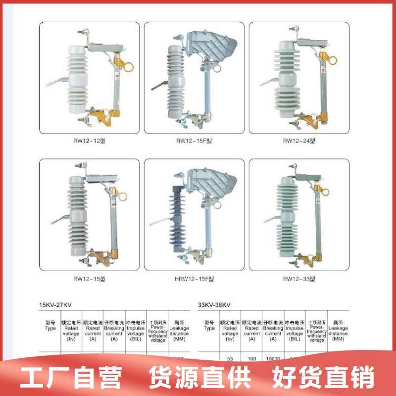 【】Y10W1-200/496-避雷器--走势支持拿样