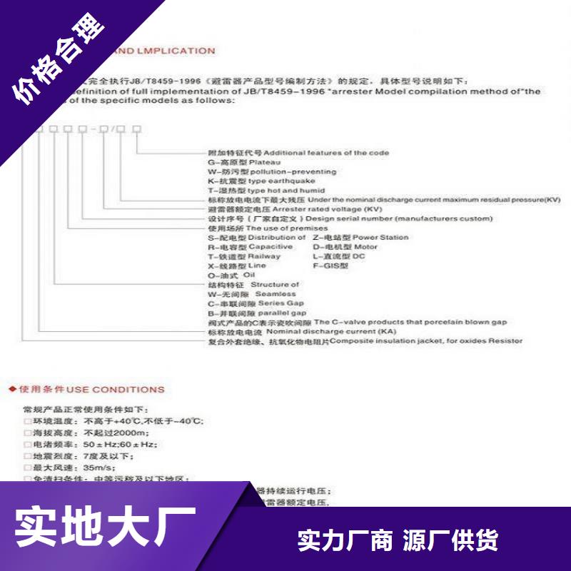 品牌【羿振电气】金属氧化物避雷器HY5WZ-17/45一对一为您服务